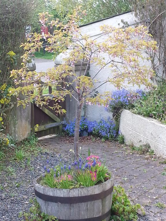 Westwood House Bed And Breakfast Grantshouse Exterior foto